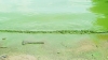 L’eau verte du Lac Tanganyika, phénomène naturel ou effet de la pollution ?