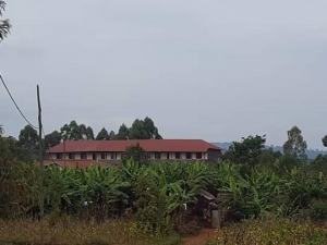 Un enseignant du lycée Bururi décapité par des inconnus