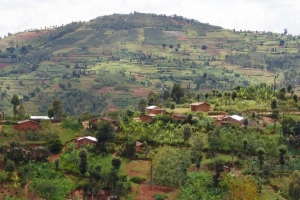 Les Imbonerakure font des victimes à Rugombo