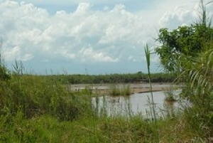 La rivière Rusizi sort de son lit et menace les habitants de Gatumba