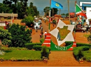 Les menaces à l’endroit des membres du CNL s’intensifient à Ngozi