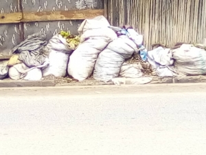 Les immondices et ordures jonchent les rues et parcelles de la zone Cibitoke