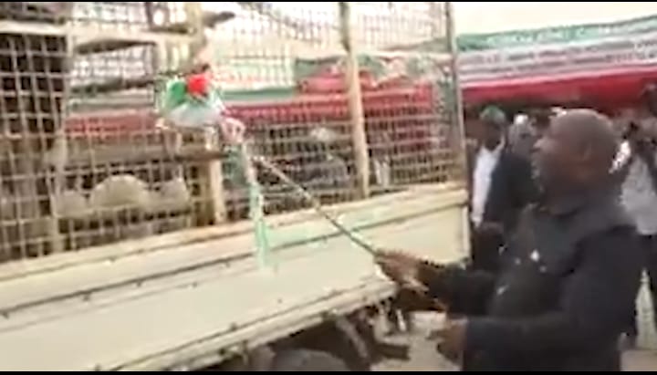 Le régime CNDD-FDD et la pratique ‘’zana amagi zana amasoro’’ des colonisateurs ?