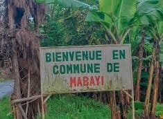 Cibitoke : Affrontements des FDNB et des rebelles rwandophones à Mabayi 