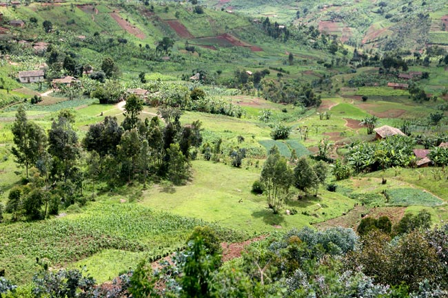 Le nord-Est du Burundi  risque une famine, selon FEWS NET 