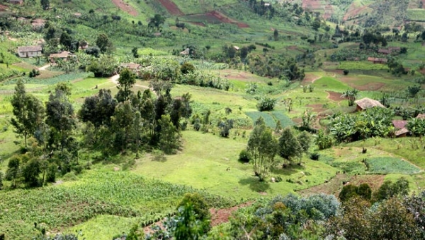 Le nord-Est du Burundi  risque une famine, selon FEWS NET 