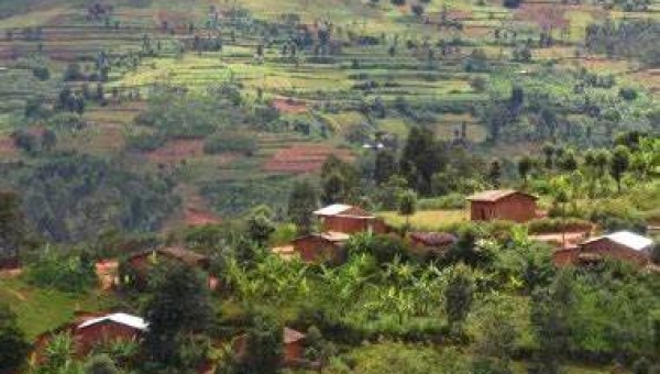 Deux découvertes macabres  le même jour 