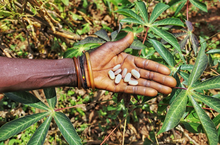 FEWS NET : plusieurs régions du Burundi pourraient rester confrontées à l’insécurité alimentaire jusqu’en septembre