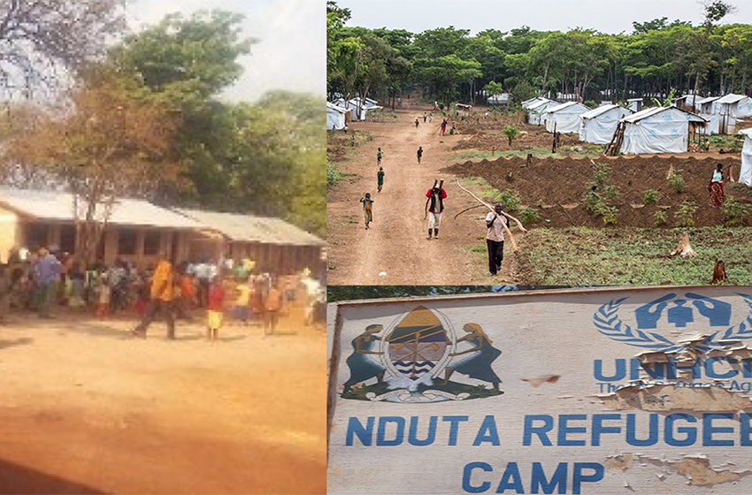 Vols et maladies signalés au camp de réfugiés  de Nduta suite à une ration insuffisante