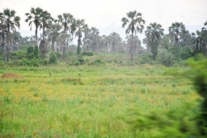 Réserve naturelle de la Rukoko