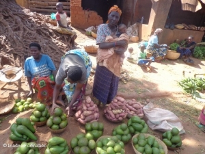 De la délocalisation du marché à l’ethnisme