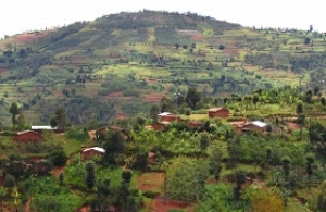 Le chef de colline Rwamiko à Ruhororo menace de mort ceux qui sont contre la révision constitutionnelle