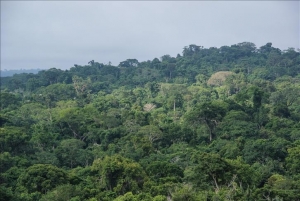 Près de 60 militaires auraient péri à Mabayi