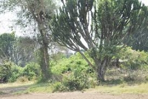 Réserve naturelle de la Rukoko