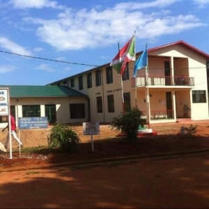 Un groupe des Imbonerakure sème la terreur en zone Kazirabageni