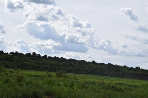 Burundi : Les habitants de KIZUKA malmenés par les Imbonerakure