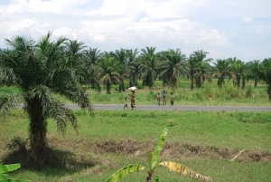 Trois militaires tués dans une embuscade tendue à Rukoko