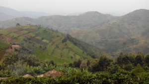 Six personnes meurent dans une attaque à la grenade à Kivoga