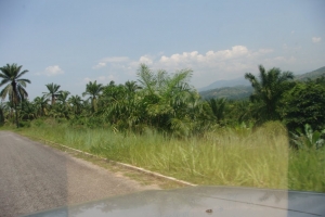 Un sexagénaire battu à mort par les jeunes Imbonerakure de Kizuka