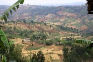 Gitega : Trois suspects arrêtés après le meurtre d’un homme qui tentait de les agresser
