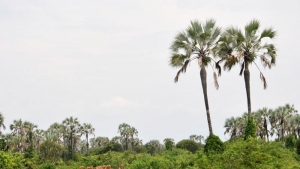 La présence massive de militaires burundais sur le sol congolais inquiète les populations des deux côtés de la frontière burundo-congolaise