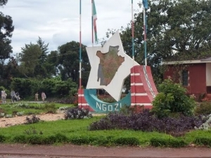 Des appels au meurtre lancés aux Imbonerakure de Kiremba inquiètent la population