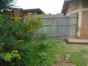 La rivière Mpimba, une menace pour l’école fondamentale Musaga III