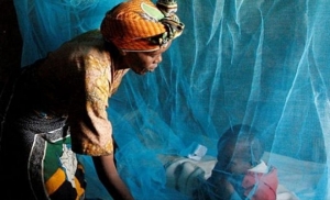 Le Ministère de la santé à pied d’œuvre pour éradiquer la malaria