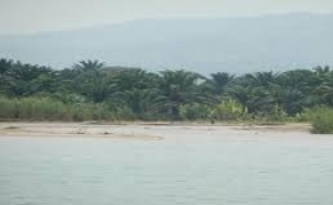 Un cadavre découvert dans une rivière