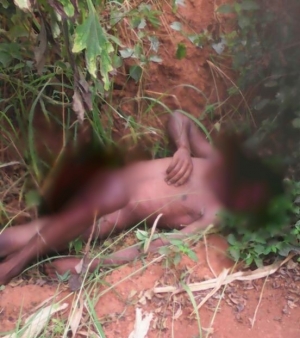 La RPA sur les traces de près de 20 assassinats ciblés