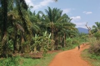 Attaque des Imbonerakure au domicile du responsable du parti Cnl à Nyanza-lac