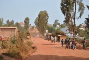 Butihinda : Des membres de la ligue Imbonerakure incarcérés suite à des vols dans les champs