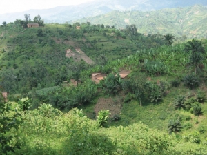 Les habitants des collines environnant la ville de Gitega en proie à la pauvreté